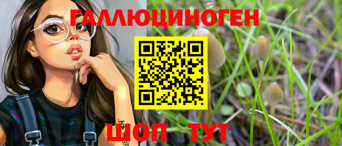 Азов  Псилоцибиновые грибы Psilocybe  Вход с VPN 