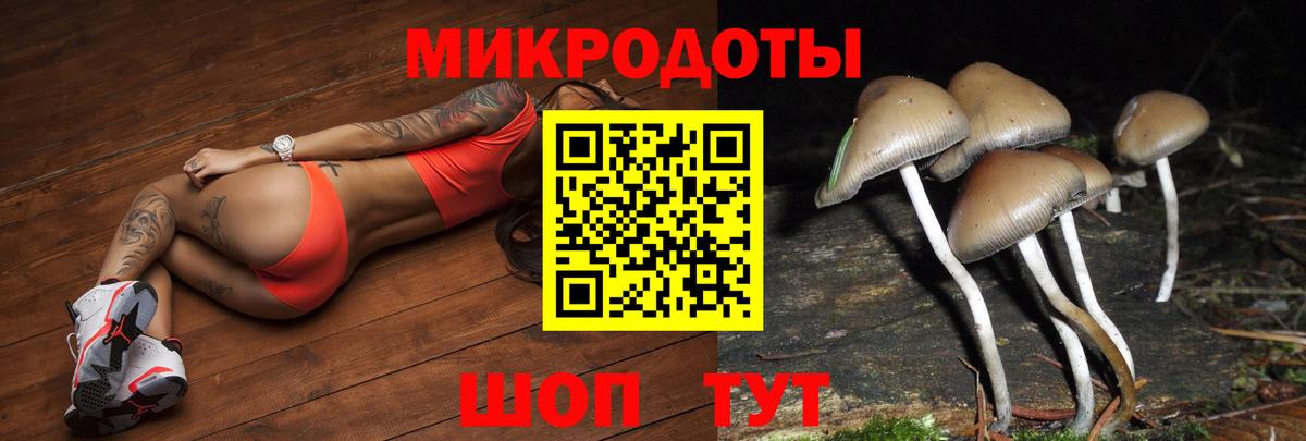 Псилоцибиновые грибы Psilocybe Азов